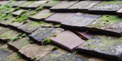 Edingley roof repair costs